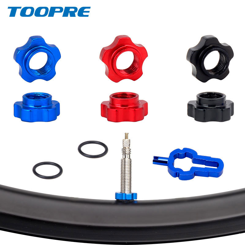 Toopre Bicycle Tubeless Presta - Tubeless Valve Core review and price
