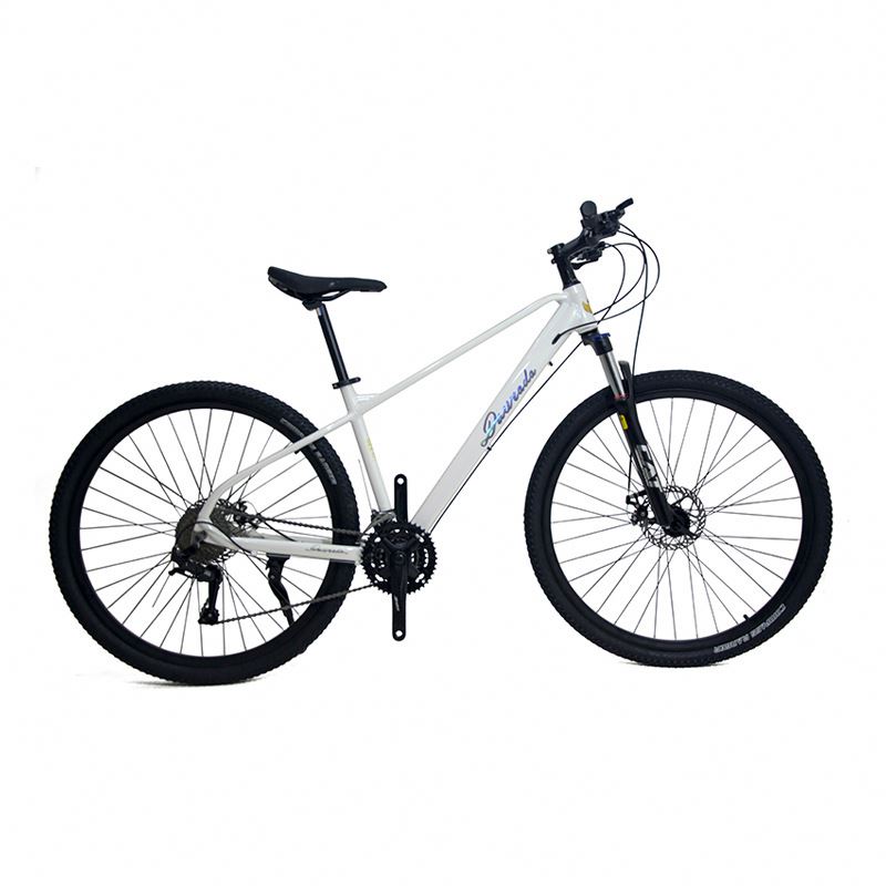 29 inch Aluminum Alloy Mountai - Mountain Biking Usa review and price