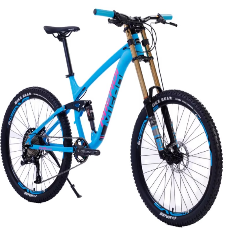 High Quality 24-Inch Dual Disc - Mountain Biking Usa review and price