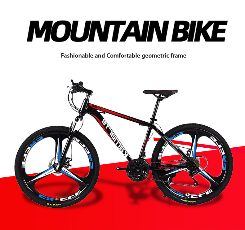 High Quality 24-Inch Dual Disc - Mountain Biking Usa review and price