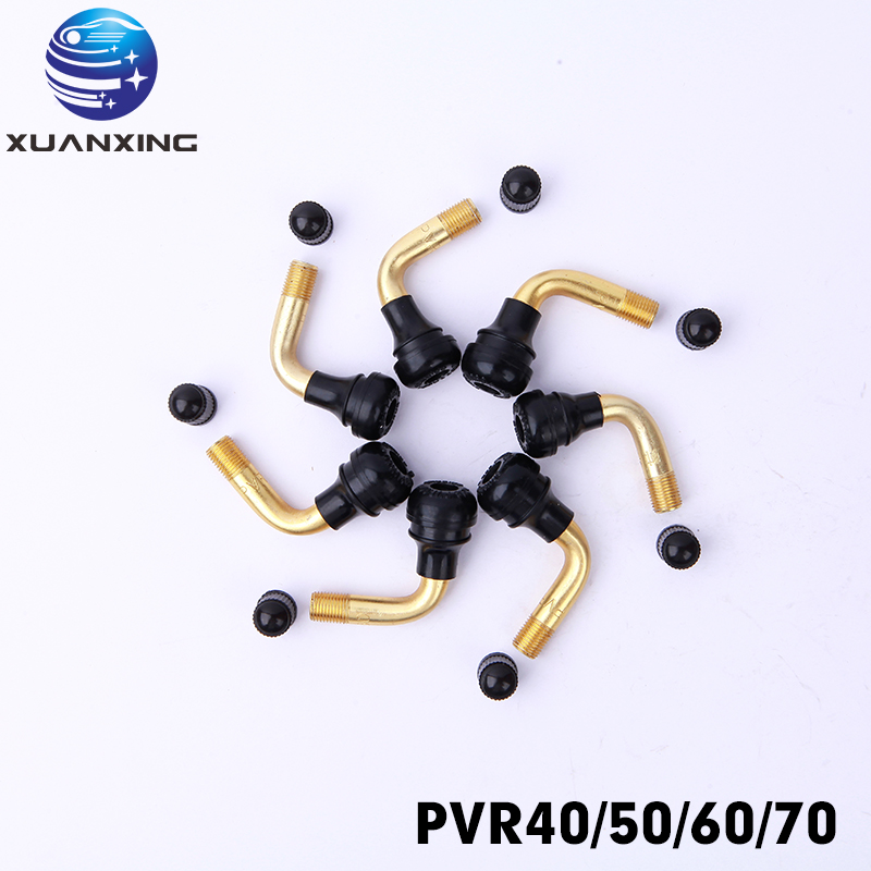 100PCS PVR70 PVR40 PVR50 PVR60 - Tubeless Valve Core review and price