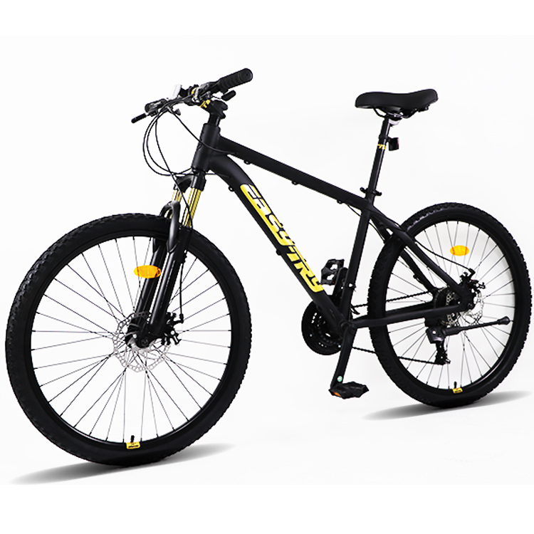 Fast Delivery Bikecmtb Bike OE - Mountain Biking Usa review and price