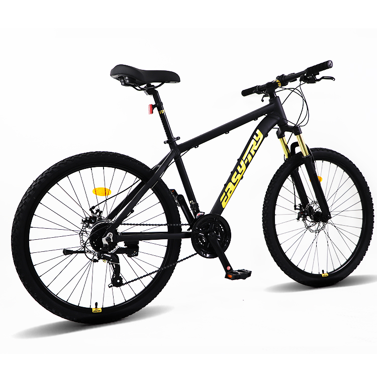 Fast Delivery Bikecmtb Bike OE - Mountain Biking Usa review and price