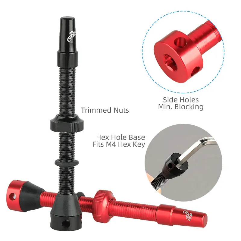 Bicycle F/V Tubeless Valve 44  - Tubeless Valve Core review and price